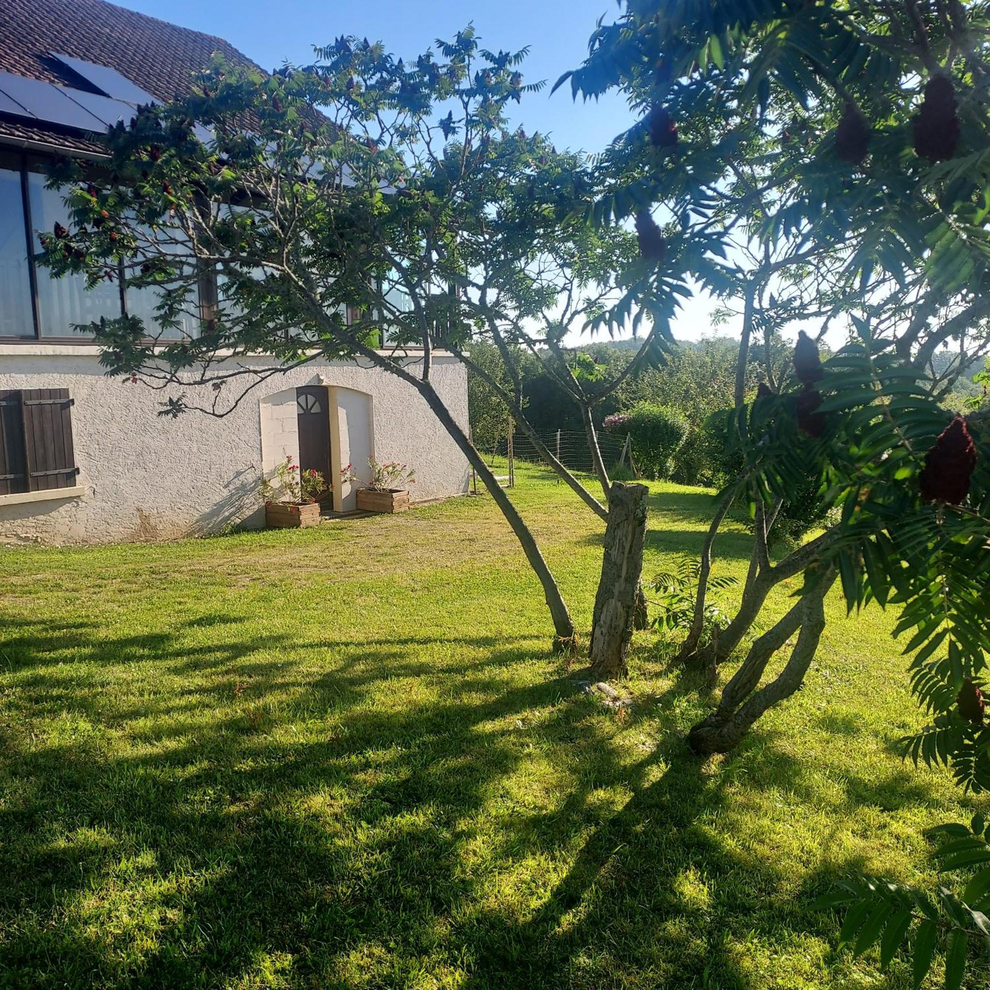 Au Petit Bois Magique Apartment Payrac ภายนอก รูปภาพ